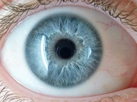 What Color Is A Mirror? thumbnail