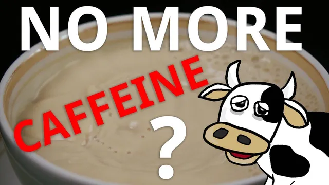 What Happens if You Stop Drinking Caffeine? thumbnail