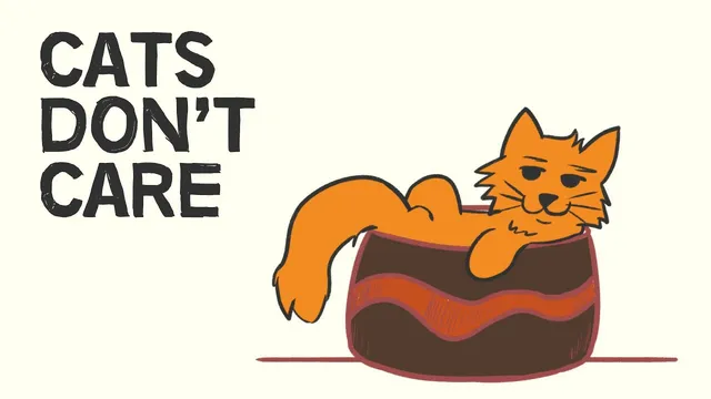 What Cats Teach Us About Happiness | A Cat's Philosophy thumbnail