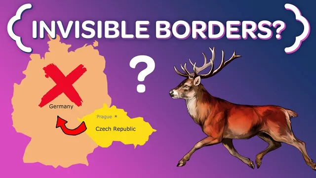 Why These Czech Deer NEVER Cross the German Border thumbnail