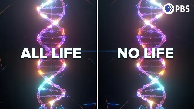 Why Is All DNA Right Handed? thumbnail