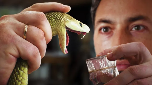 How Horses Save Humans From Snakebites thumbnail