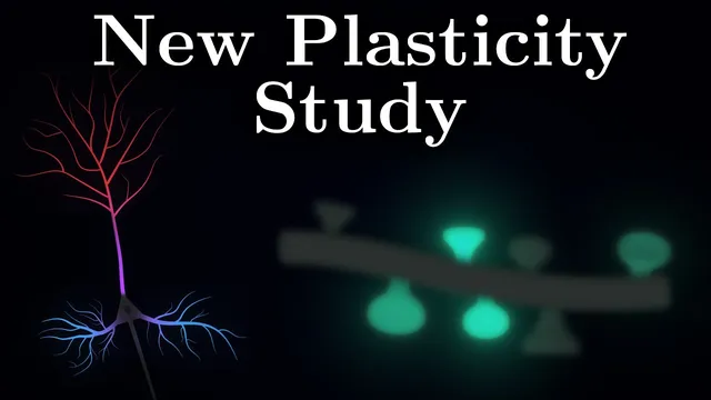 Why Different Neuron Parts Learn Differently? thumbnail