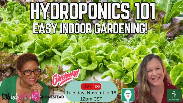 Hydroponics 101: Easy Indoor Gardening for Any Home! thumbnail