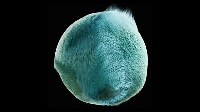 The Hairy Ball Theorem thumbnail