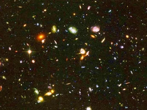 We Are All Related thumbnail