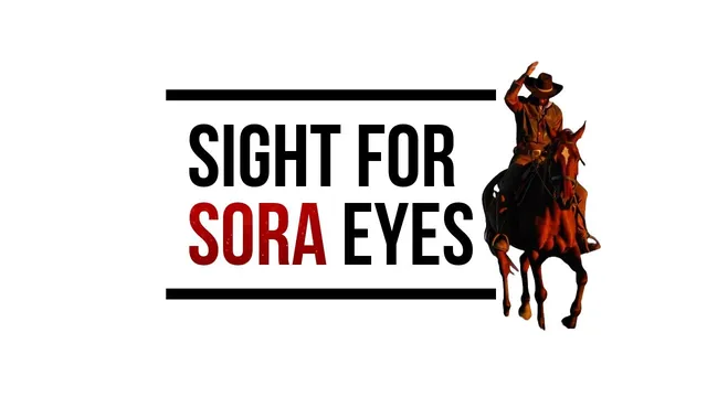 Sora is Out, But is it a Distraction? thumbnail