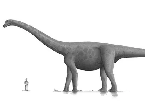 How Big Can a Person Get? thumbnail