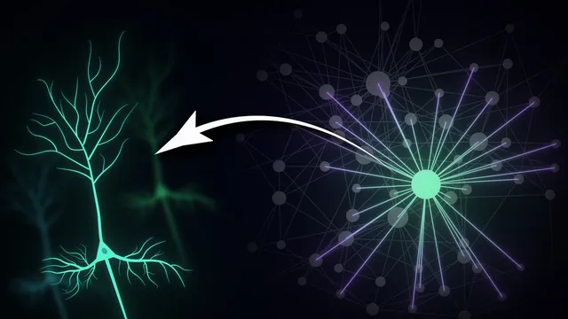 A Surprising Way Your Brain Is Wired thumbnail