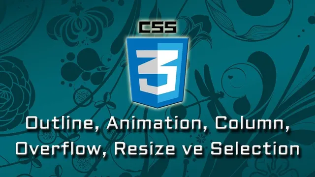 CSS3 - CSS'te Outline, Animation, Column, Overflow, Resize ve Selection thumbnail