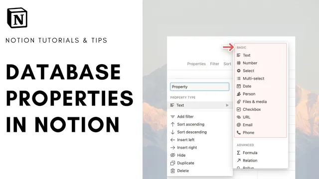 Database Properties in Notion thumbnail
