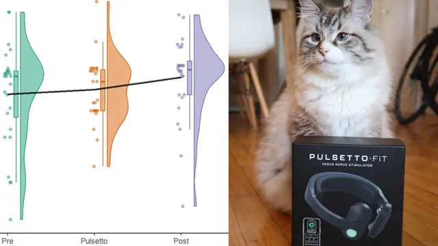 We Tried Pulsetto as a Couple: The Data Will Surprise You thumbnail
