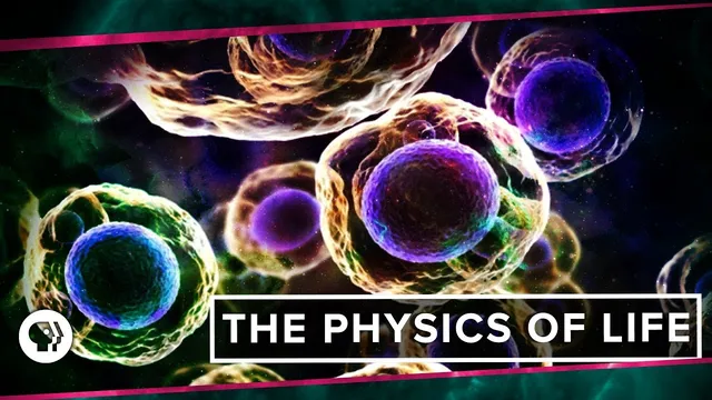 The Physics of Life (ft. It's Okay to be Smart & PBS Eons!) thumbnail
