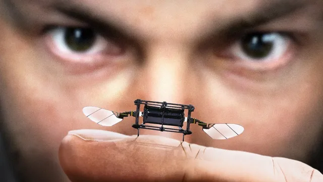 Why Is MIT Making Robot Insects? thumbnail