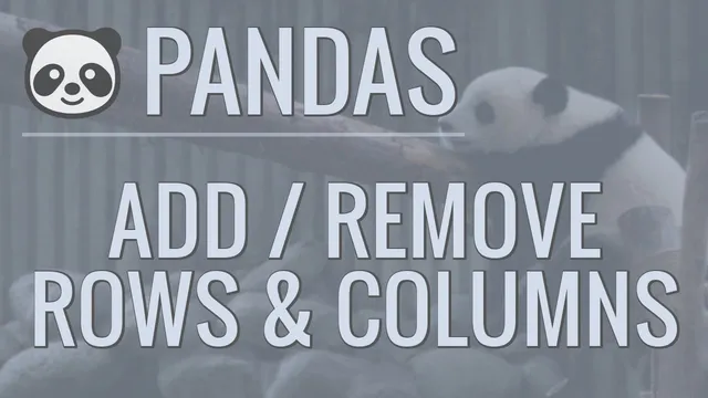 Python Pandas Tutorial (Part 6): Add/Remove Rows and Columns From DataFrames thumbnail