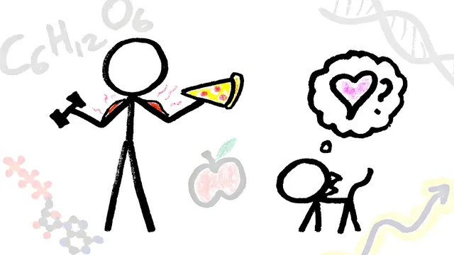 What is the Purpose of Life? (Big Picture Ep. 5/5) thumbnail