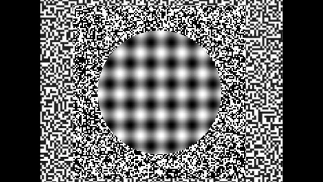 Moving Illusions thumbnail