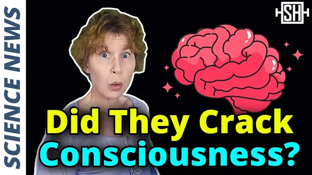 Researchers find major clue to consciousness thumbnail