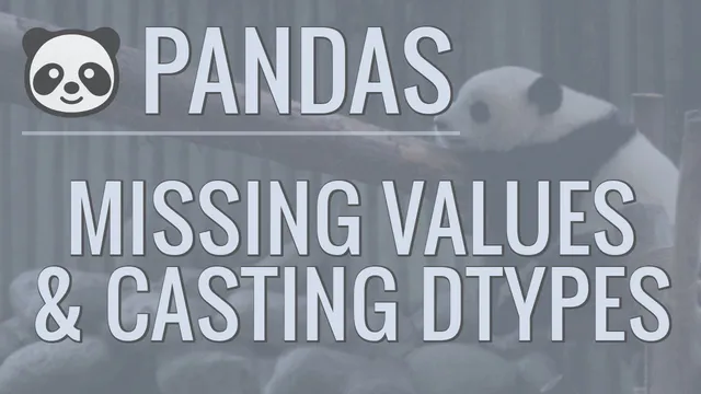 Python Pandas Tutorial (Part 9): Cleaning Data - Casting Datatypes and Handling Missing Values thumbnail