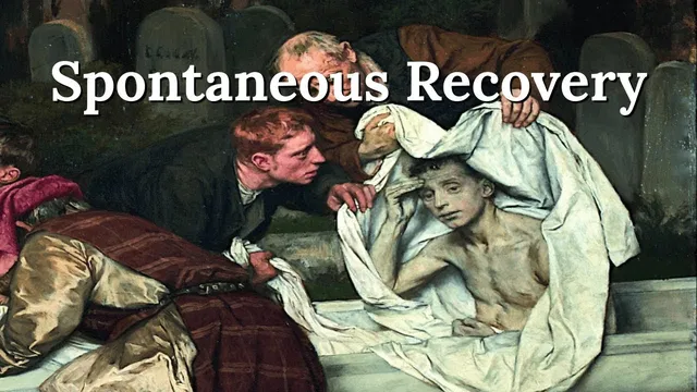 Spontaneous Recovery - The Body's Power to Heal from Cancer and Chronic Disease thumbnail