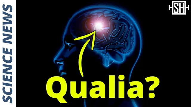 Scientists Measure Qualia for First Time – It was thought to be impossible thumbnail