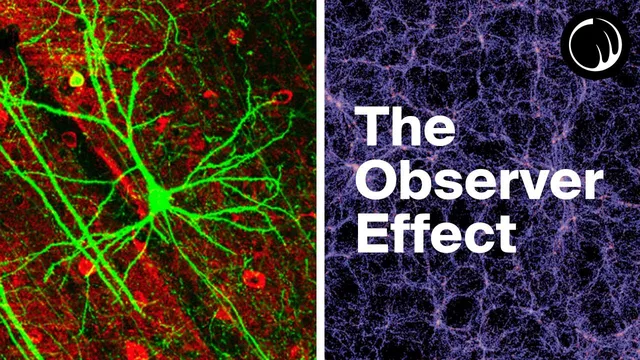 Weird Things Begin to Happen When You Examine Consciousness thumbnail