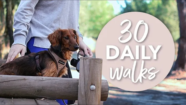 I Walked for 30 Days and This Happened thumbnail