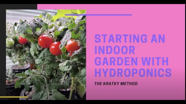 Cheap Kratky Method | How to Start an Indoor Hydroponic Garden thumbnail