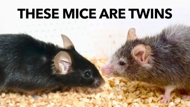 How to Slow Aging (and even reverse it) thumbnail