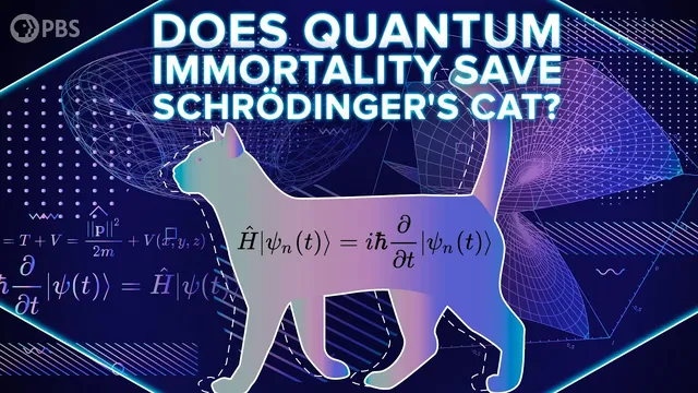 Does Quantum Immortality Save Schrödinger's Cat? thumbnail