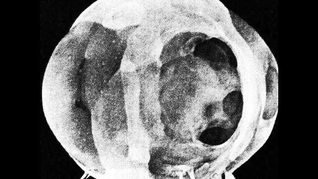 Cruel Bombs thumbnail