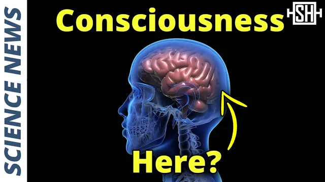 "Pseudoscientific" Theory Correctly Predicts Location of Consciousness thumbnail