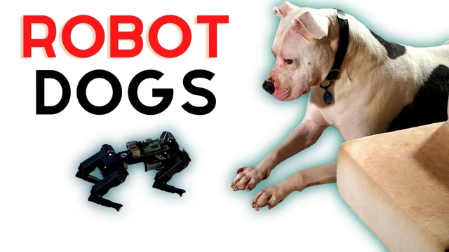 Robot Dogs: A Programmer's Best Friend thumbnail