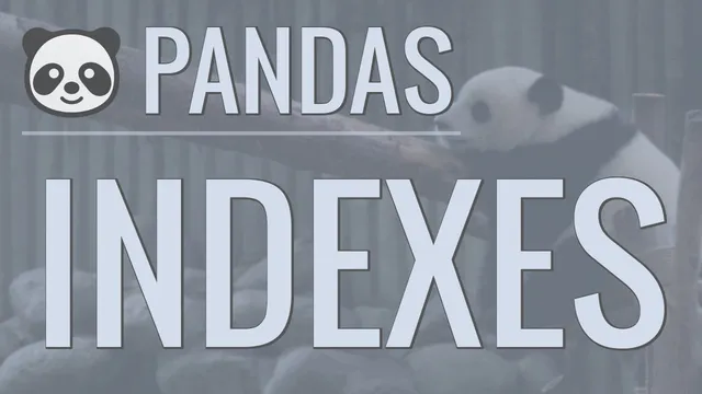 Python Pandas Tutorial (Part 3): Indexes - How to Set, Reset, and Use Indexes thumbnail