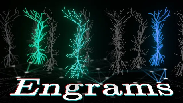 Building Blocks of Memory in the Brain thumbnail