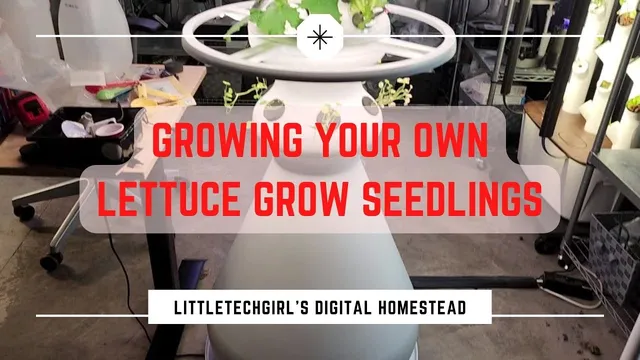 Growing Your Own Seedlings for Lettuce Grow, iHarvest, Gardyn, Rise Garden or Other Large Systems thumbnail