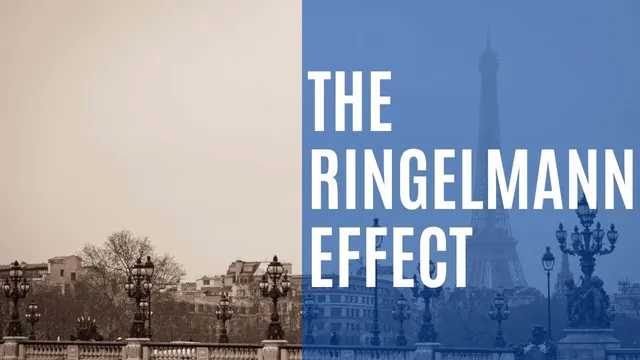 Are people naturally lazy? | The Ringelmann Effect | Crazy Science #3 thumbnail