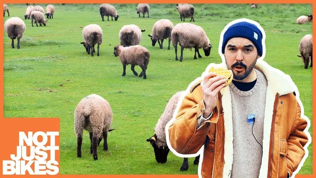 Dutch Cities are Better for the Environment (and my sanity) thumbnail