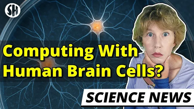 Crazy: Scientists Compute With Human Brain Cells thumbnail