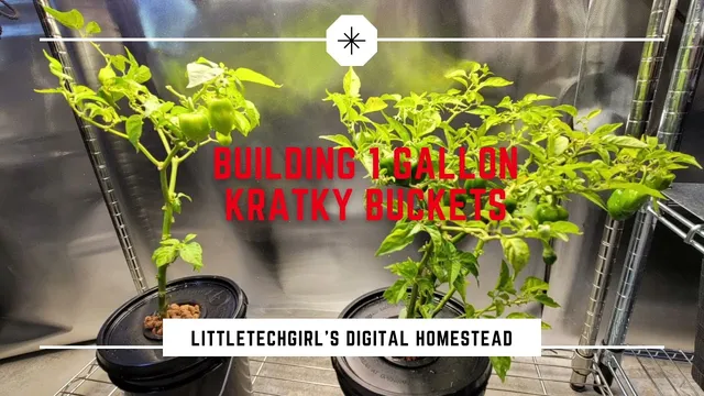 Building Kratky Buckets | Kratky Hydroponics | Pepper Cuttings | New Grow Area Sneak Peek thumbnail