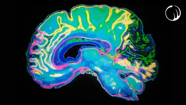 One of the Most Unsettling Phenomena of the Human Brain thumbnail