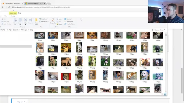 Loading in your own data - Deep Learning basics with Python, TensorFlow and Keras p.2 thumbnail