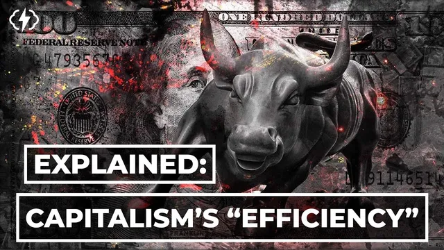 Is Capitalism Actually Efficient? thumbnail