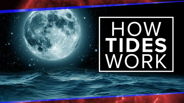 What Physics Teachers Get Wrong About Tides! | Space Time | PBS Digital Studios thumbnail