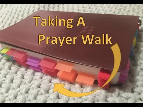 Prayer Bible / War Binder: Taking A Prayer Walk Through My Bible thumbnail