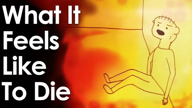 What It Feels Like To Die  (Animated Short) thumbnail