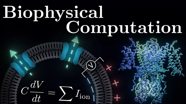 The Core Equation Of Neuroscience thumbnail